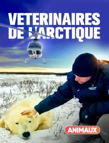 Animaux - Vétérinaires de l'Arctique