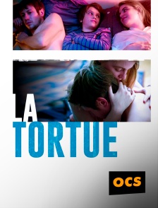 OCS - La tortue