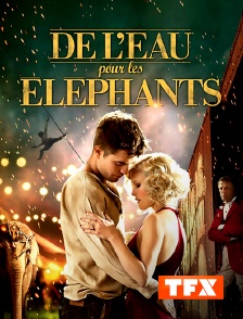 TFX - De l'eau pour les éléphants