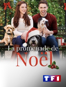 TF1 - La promenade de Noël