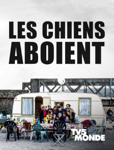 TV5MONDE - Les chiens aboient