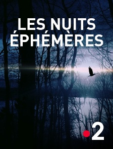 France 2 - Les nuits éphémères