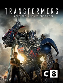 C8 - Transformers : l'âge de l'extinction