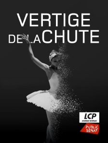 LCP Public Sénat - Vertige de la chute