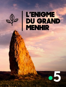 France 5 - L'énigme du grand menhir