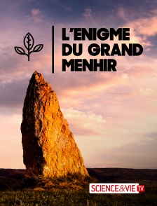 Science et Vie TV - L'énigme du grand menhir