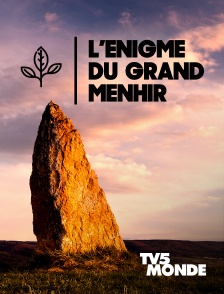 TV5MONDE - L'énigme du grand menhir