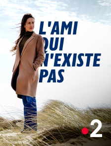 France 2 - L'ami qui n'existe pas