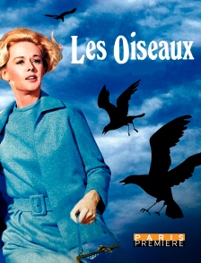 Paris Première - Les oiseaux