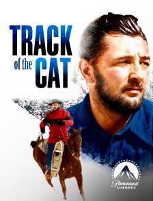 Paramount Channel - Track of the Cat