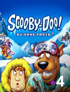 France 4 - Scooby-Doo, du sang froid ! *2007