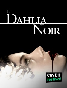 CINE+ Festival - Le dahlia noir