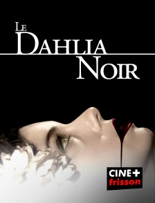 CINE+ Frisson - Le dahlia noir