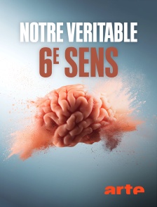 Arte - Notre véritable 6e sens