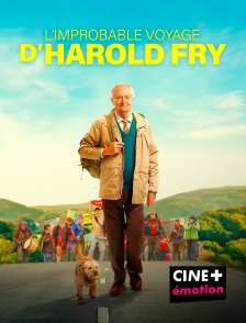 CINE+ Emotion - L'Improbable voyage d'Harold Fry