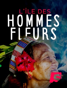 Spicee - L'île des hommes fleurs