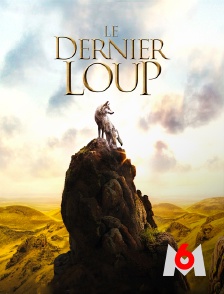 M6 - Le dernier loup