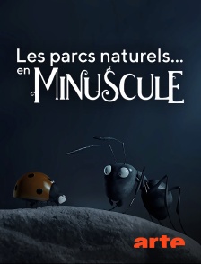 Arte - Les parcs naturels... en Minuscule