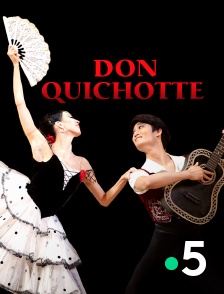 France 5 - Don Quichotte