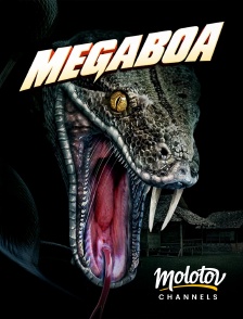 Molotov channels - Megaboa