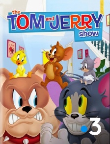 France 3 - Tom et Jerry Show