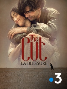 France 3 - The Cut, la blessure