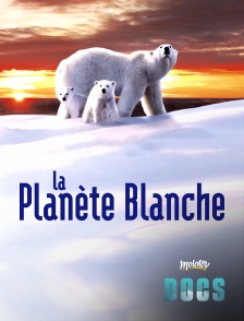 Molotov Channels Docs - La planète blanche