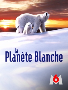 M6 - La planète blanche