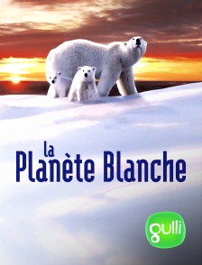 Gulli - La planète blanche