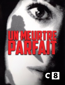 C8 - Un meurtre parfait