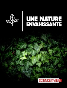 Science et Vie TV - Une nature envahissante