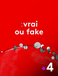 France 4 - Vrai ou Fake