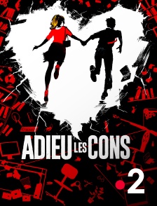 France 2 - Adieu les cons