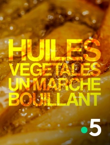 France 5 - Huiles végétales : un marché bouillant