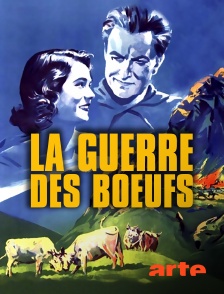 Arte - La guerre des boeufs