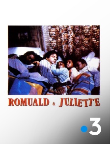 France 3 - Romuald et Juliette