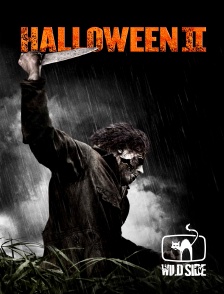 Molotov channels - Halloween II