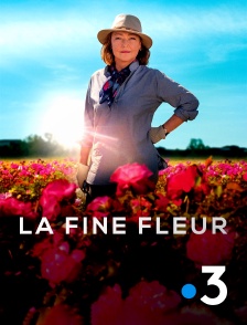 France 3 - La fine fleur