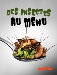 Arte - Des insectes au menu