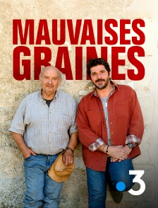 France 3 - Mauvaises graines