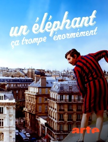 Arte - Un éléphant, ça trompe énormément