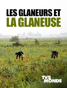 TV5MONDE - Les glaneurs et la glaneuse