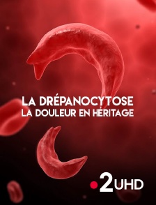 France 2 UHD - La drépanocytose, la douleur en héritage