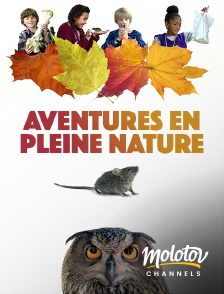 Molotov channels - Aventures En Pleine Nature