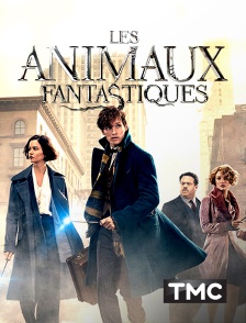 TMC - Les animaux fantastiques