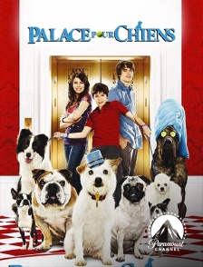 Paramount Channel - Palace pour chiens