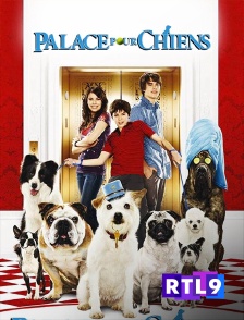 RTL 9 - Palace pour chiens