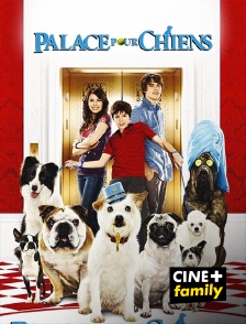 Palace pour chiens