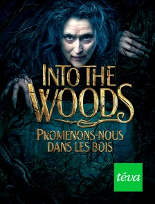 Téva - Into the Woods : promenons-nous dans les bois