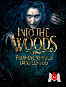 M6 - Into the Woods : promenons-nous dans les bois